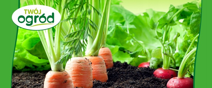 Mączka bazaltowa 10kg NAWÓZ WZAMACNIJĄCY ROŚLNY