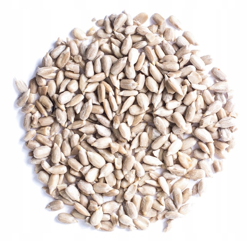 SŁONECZNIK ŁUSKANY 5kg Naturalny wysoka jakość | KOL-POL