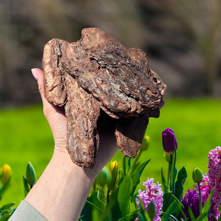 KORA SOSNOWA 80-130mm 8-13cm PREMIUM SORTOWANA MEGA GRUBA 50L