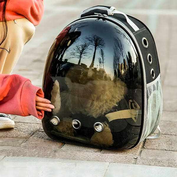 TRANSPORTER PLECAK TORBA PRZEZROCZYSTA DLA KOTA PSA ZWIERZĄT