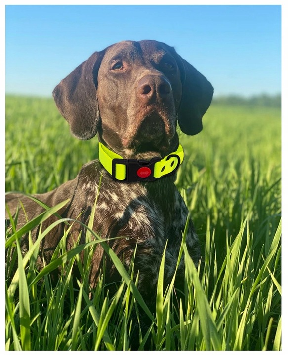 SMYCZ TRENINGOWA dla Psa MOCNA BIOTHANE PVC 3m