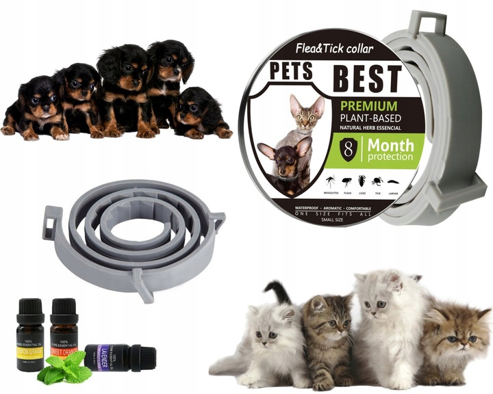 OBROŻA DLA KOTA NA PCHŁY KLESZCZE 8 MIESIĘCY 40 CM UNIWERSALNA