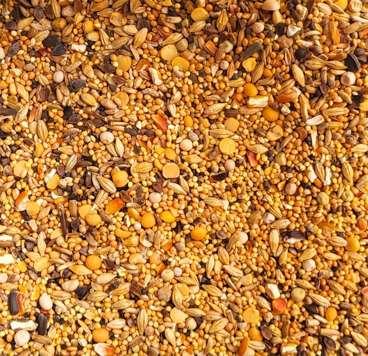 Karma pokarm dla kur i niosek drobiu 25kg Naturalna pasza Tylko ziarno