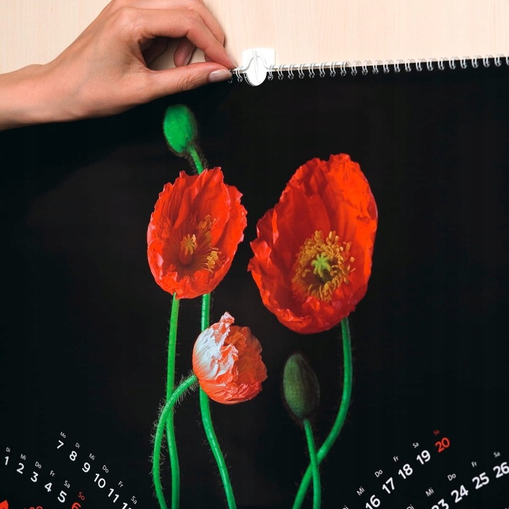 TESA POWERSTRIPS Haczyki samoprzylepne do ramek zdjęć obrazów 1kg