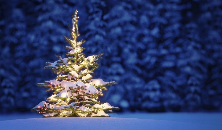 STOJAK CHOINKOWY DO CHOINKI POD CHOINKĘ 10L