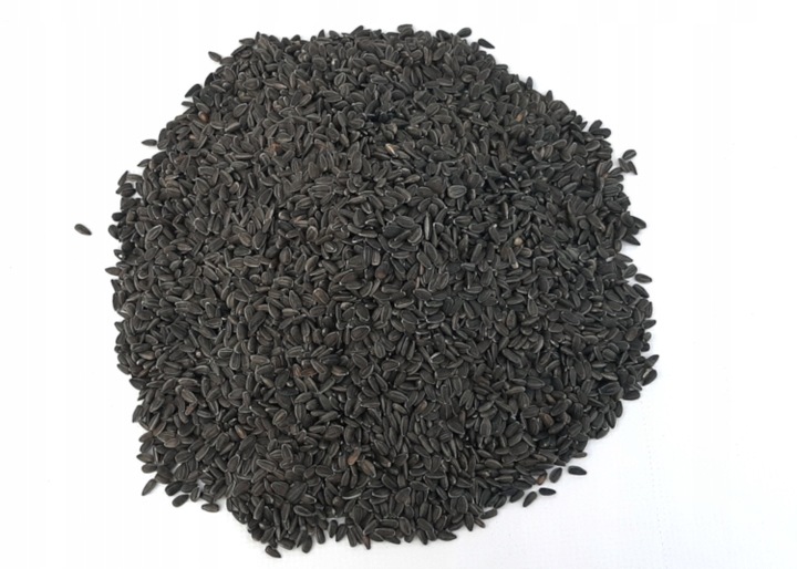 Słonecznik dla ptaków CZARNY, CZYSTY 25kg karma