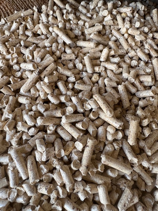 Ekologiczny Żwirek dla Kota 15 kg – Pellet Drewniany JASNY