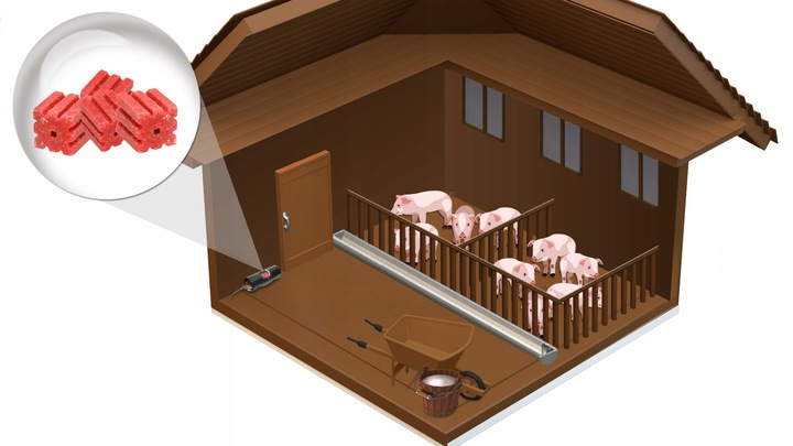 MOCNA TRUTKA TRUCIZNA NA MYSZY I SZCZURY KOSTKA 1KG BROMADIOLONE