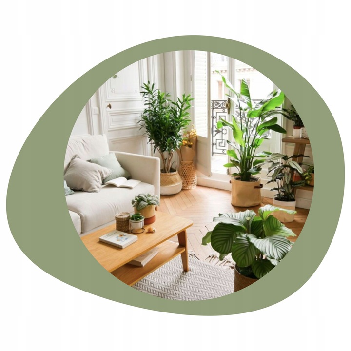 COMPO 2w1 NA CHOROBY I SZKODNIKI - MSZYCE PRZĘDZIORKI WCIORNASTKI