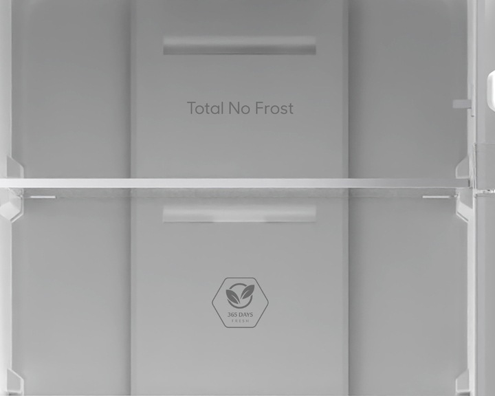 Lodówka No Frost 175cm 225L Smith&Brown SFBF-532-IE3 Inox