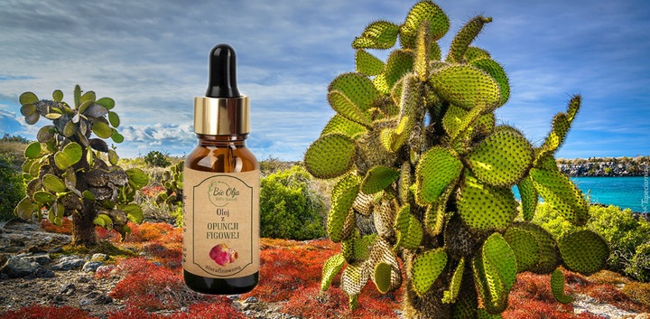 OLEJ z OPUNCJI FIGOWEJ 100% ZMARSZCZKI POD OCZAMI