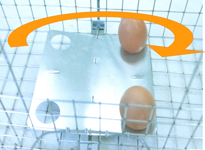 żywołapka pułapka na koty kuny bardzo szybka