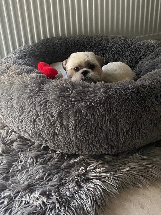 Legowisko posłanie Chmurka dla psa i kota Shaggy 80