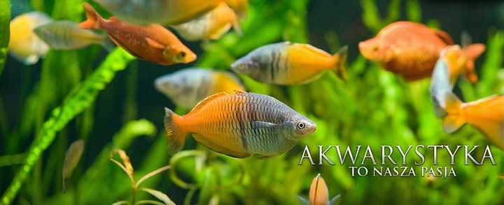 4x1000ml MIKRO, MAKRO, CARBO, POTAS