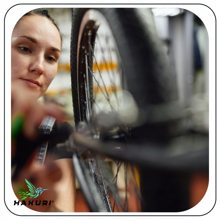 SMAR do ŁAŃCUCHA rowerowego ZESTAW warunki SUCHE MOKRE ZMIENNE + 4 Szczotki