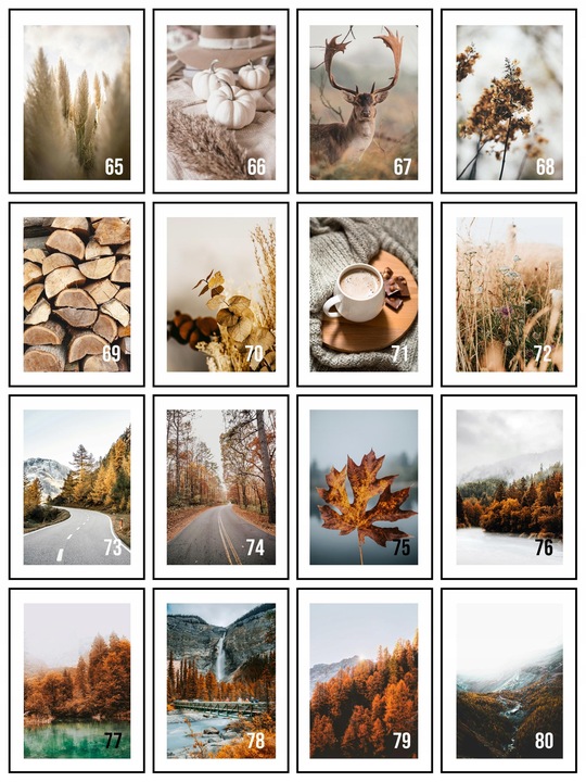 Obraz 30x40 Jesień Jesienne DUŻO WZORÓW plakaty dekoracja do salonu