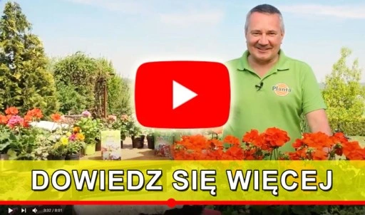 SIEWNIK DO NAWOZÓW NASION TRAWY RĘCZNY ROZSIEWACZ Z WYSUWANYM WSPORNIKIEM