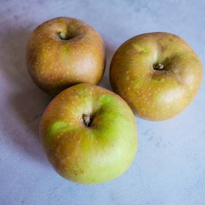 SADZONKI DRZEWKA OWOCOWE JABŁOŃ SZARA RENETA NAJLEPSZA CENIONA DO