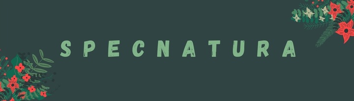 Glistnik Górski Ekstrakt Mocny Кurzajki Brodawki Modzele Włókniaki 10ml