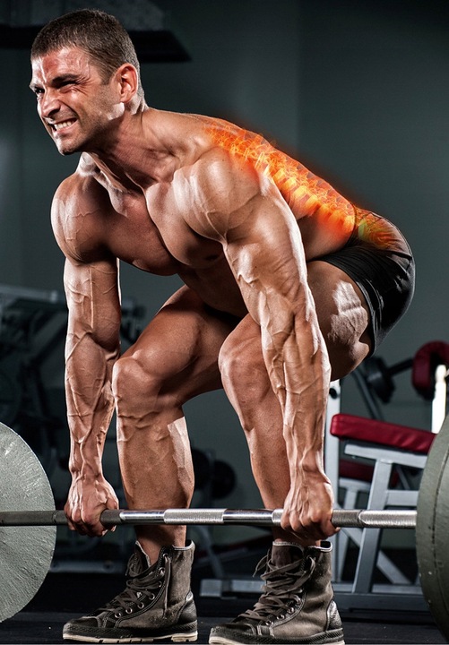 PAS LĘDŹWIOWY KULTURYSTYCZNY Treningowy DO PODNOSZENIA CIĘŻARÓW NA SIŁOWNIĘ