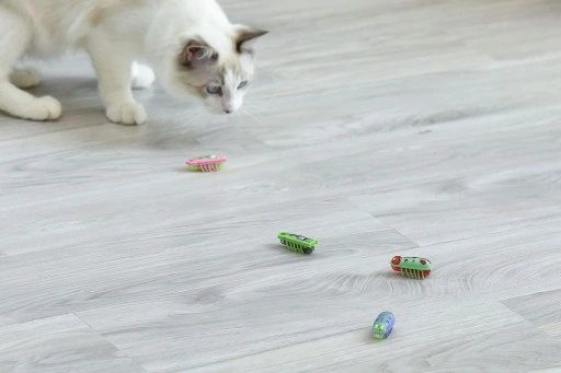 2x Karaluch robak insekt jak hexbug La Cucaracha Zabawka dla kota 4xBateria