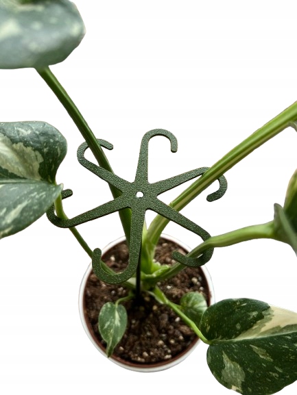 Podpórki do kwiatów podpórka chwytak z prętem 33cm OCTOPUS M 15cm 3 szt.