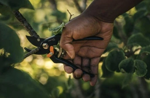 Sekator nożycowy ogrodowy ostry SOLID P131 FISKARS