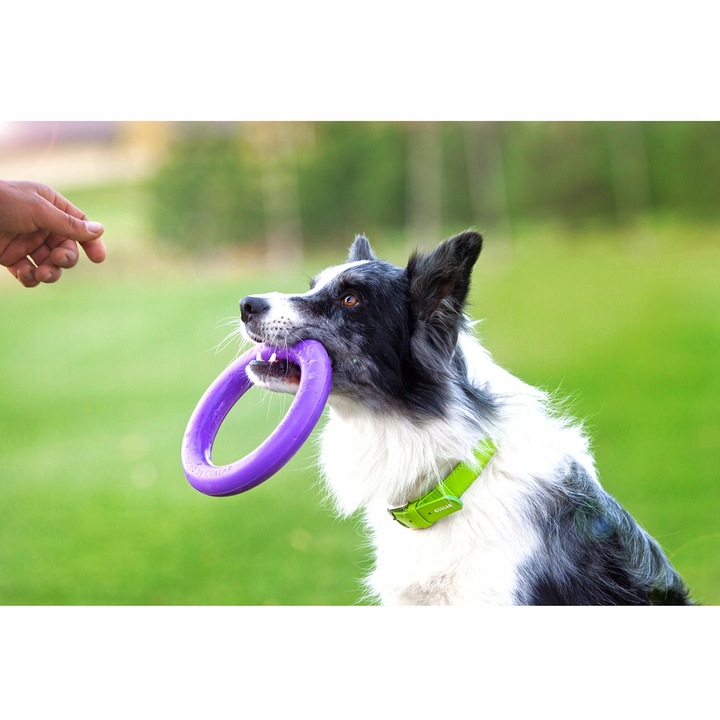 Szarpak dla psa PULLER midi 19,5 cm ring 2 szt. dla średnich ras psów