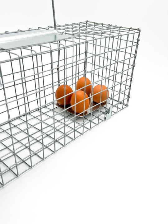 Pułapka łapka klatka na kuny łasice łaski szczury