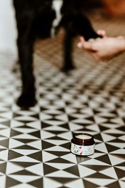 Naturalna maść na łapy dla psa