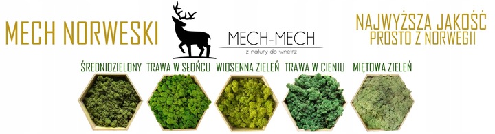 500g MECH CHROBOTEK reniferowy zielony NORWESKI