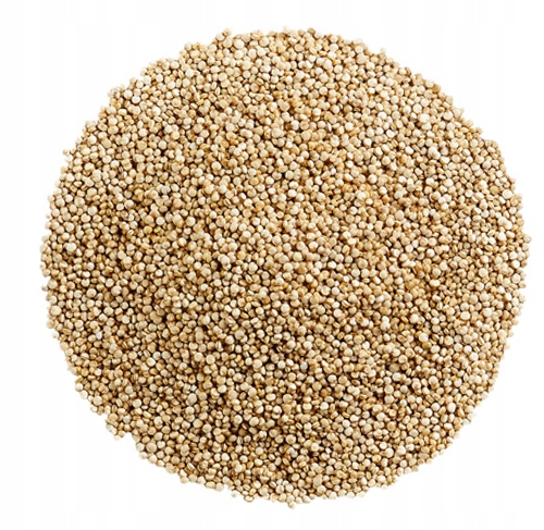 KOMOSA RYŻOWA QUINOA 1kg Biała naturalna bogata w białko jakość Kol-Pol