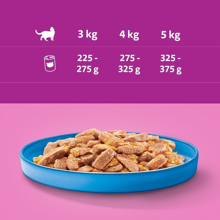 WHISKAS TUŃCZYK GALARETKA 9,6kg 24x400g Puszka Karma Mokra Dla Kotów Kota