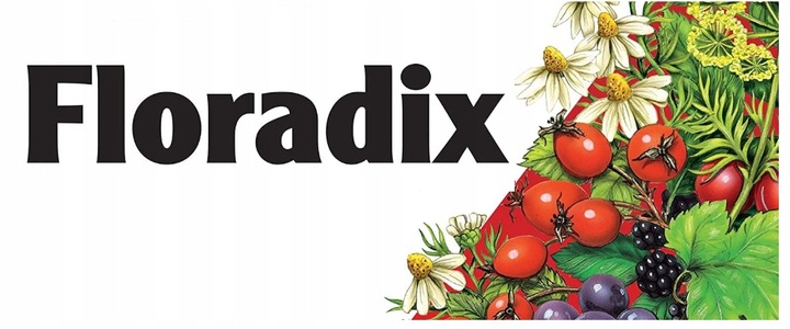 Floradix Magnez płynna formuła 250ml Dla silnych mięśni Zmęczenie Znużenie