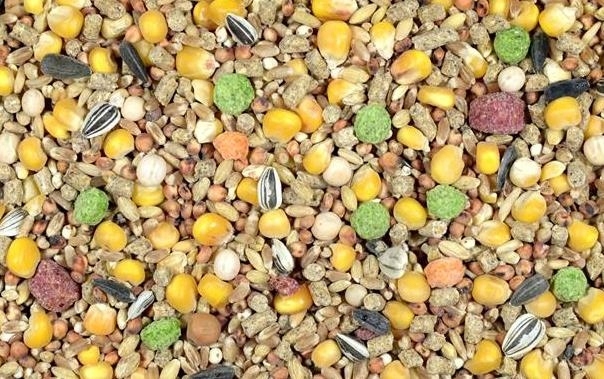 Naturalna karma dla pawi 10 kg PW Kampol