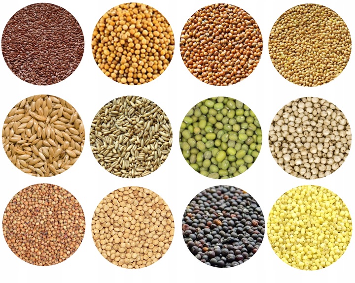 KARMA DLA PTAKÓW 10kg POKARM DROBNE ZIARNO DO KARMNIKA PTASI PRZYSMAK