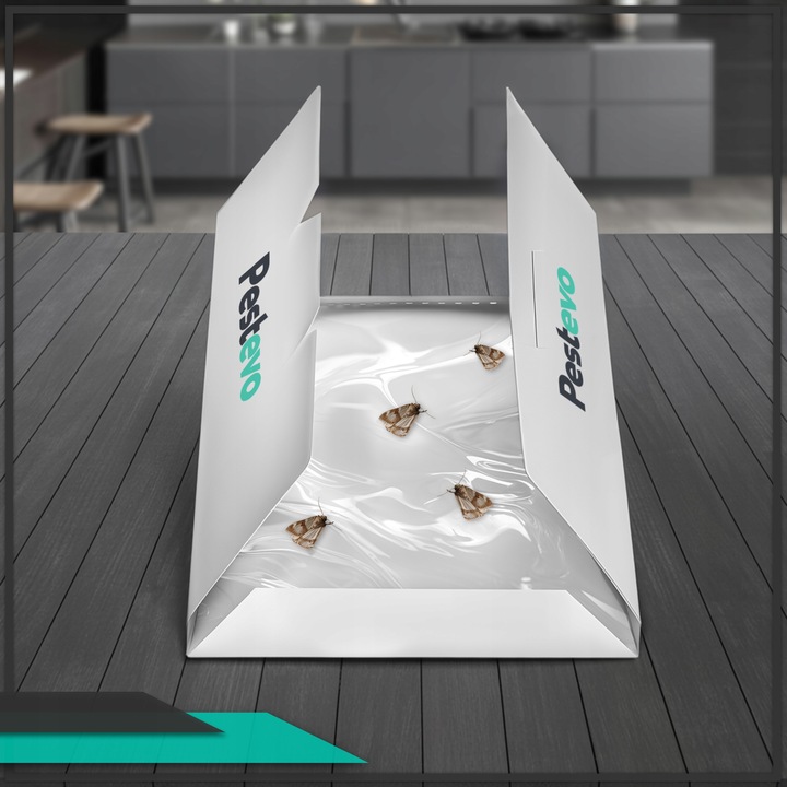 PUŁAPKA NA MOLE SPOŻYWCZE ODZIEŻOWE 2w1 FEROMONOWA LEP ŚRODEK