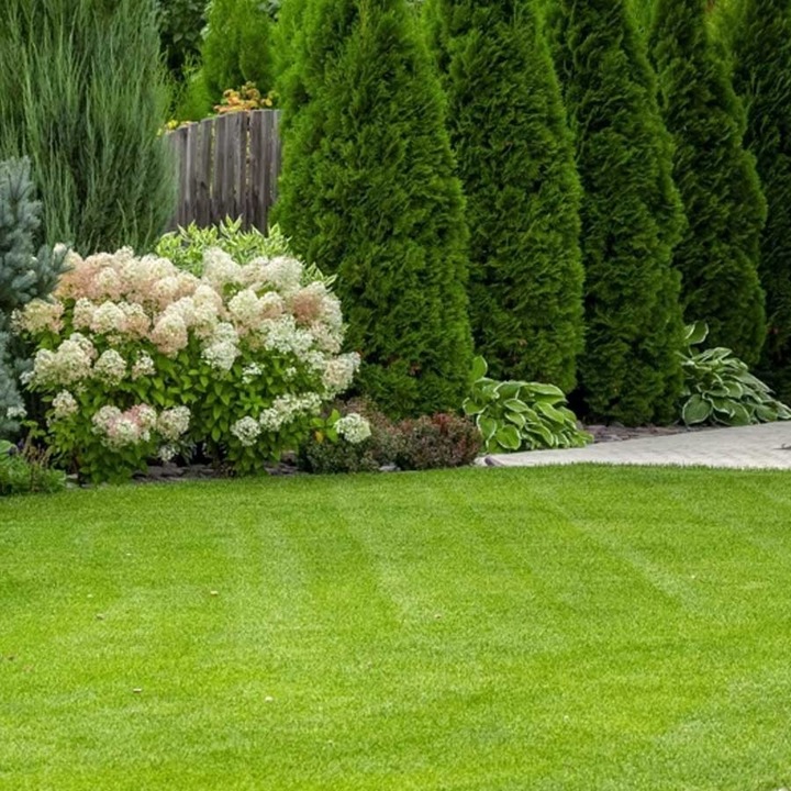 Yara Mila Complex 25kg Nawóz wieloskładnikowy YARA granulat Nawóz do