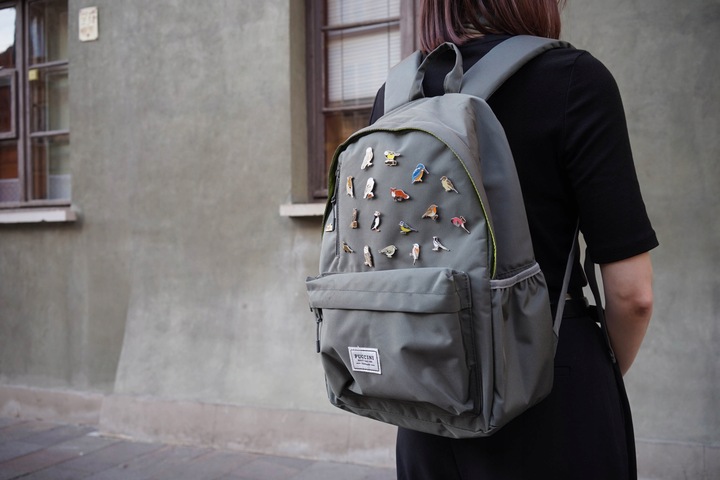 Przypinka, Pin, Odznaka, OTOPtak Zimorodek