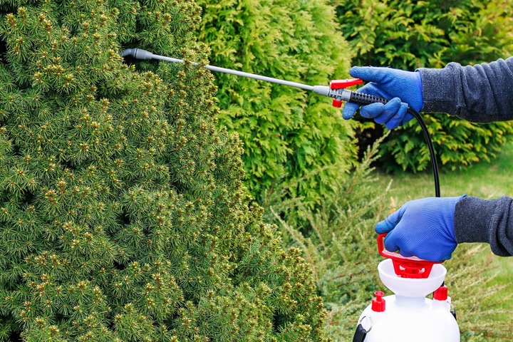 EMULPAR 940 EC ZWALCZA SZKODNIKI TUI I IGLAKÓW TUJA I IGLAKI 250 ml