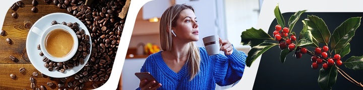 Kawa ziarnista Segafredo Espresso Casa 1kg