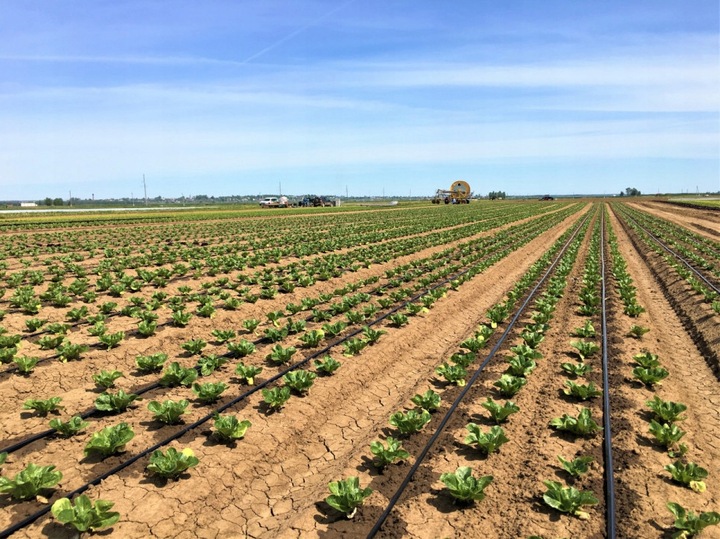 Linia kroplująca 100m + 100 szpilek/137 akcesoriów MOCNA kropelkująca