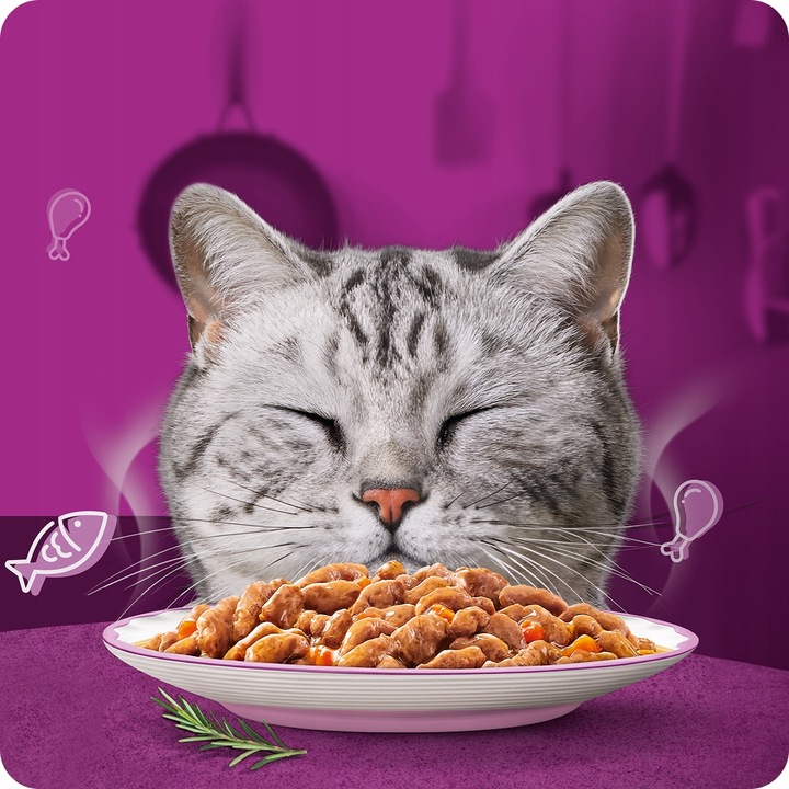 SASZETKI WHISKAS AROMATIC SELECTION AROMATYCZNA MIESZANKA W SOSIE