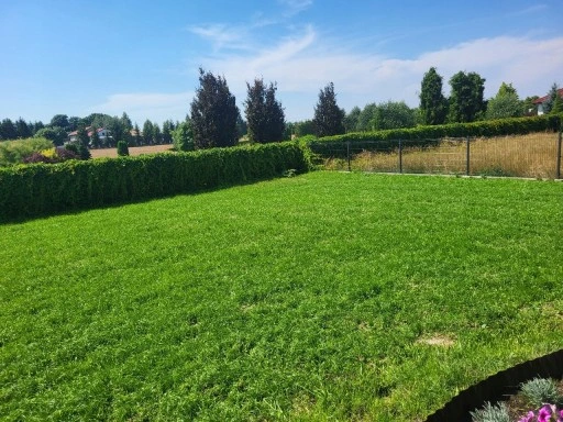 Trawa UNIWERSALNA nasiona trawy SAMOZAGĘSZCZAJĄCA odporna na DEPTANIE 5kg