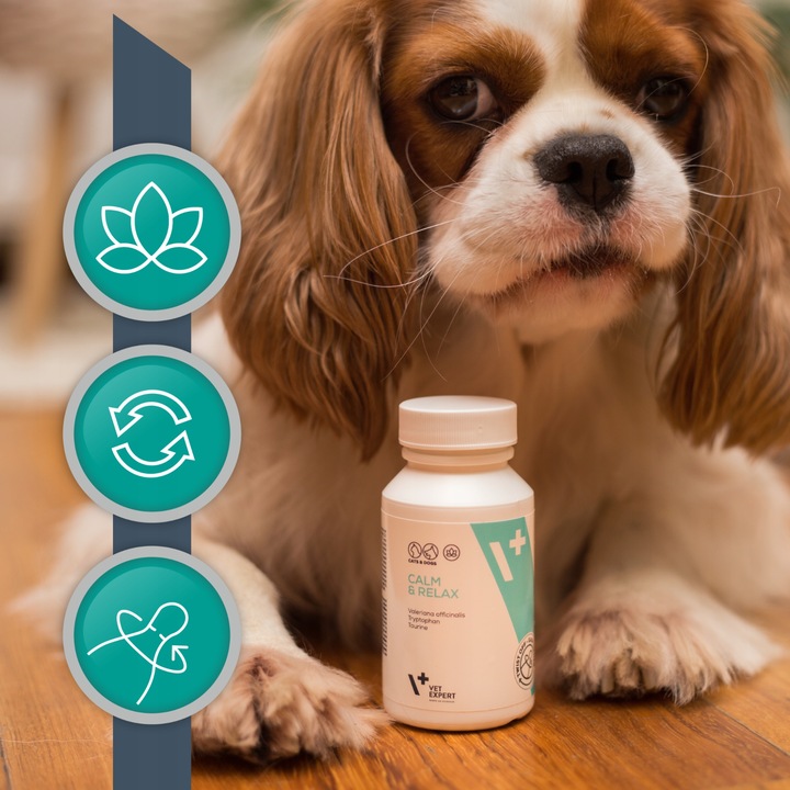 Preparat dla psów i kotów na stres Vet Expert Calm & Relax 30 kapsułek