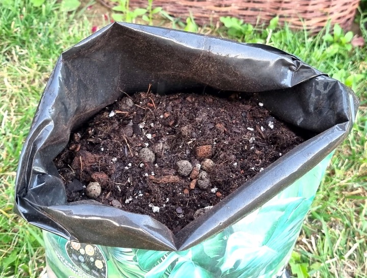 Ziemia Biovita Bigos 8L - lekkie podłoże do monster i filodendronów