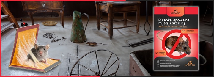 60x PUŁAPKA NA MYSZY SZCZURY MYSZOŁAPKA SILNY KLEJ MOCNA ŁAPKA LEP