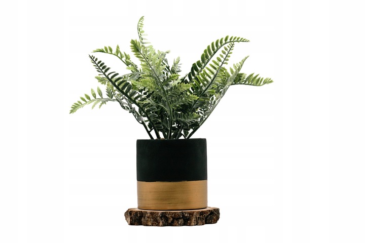 Plastry drewniane, plaster drewna, 10-16 cm