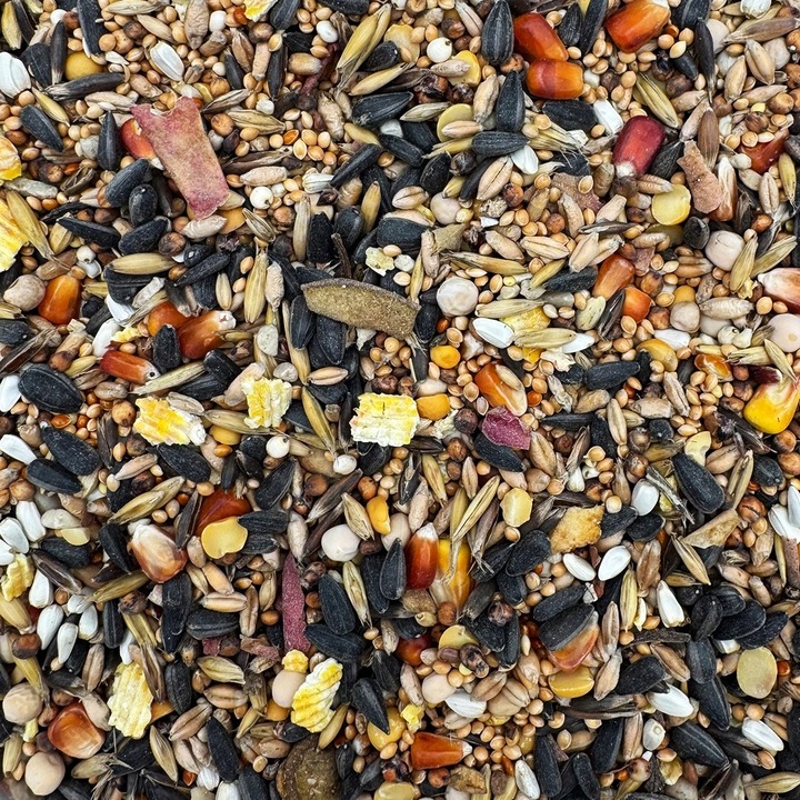 20kg Karma dla papug średnich papugi nimfa rozella pokarm STANDARD