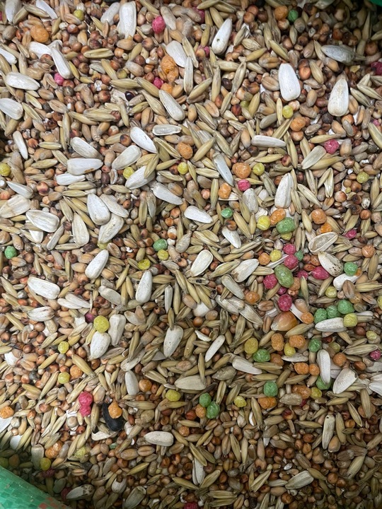 Karma Pokarm Jedzenie Dla Ptaków Dzikich Letnich Całoroczna Karmnik 20 KG